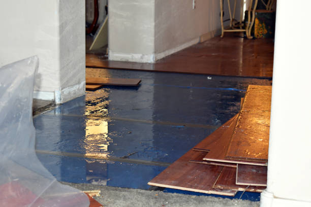 Professional Sewage Cleanup technician working in New Washington, OH